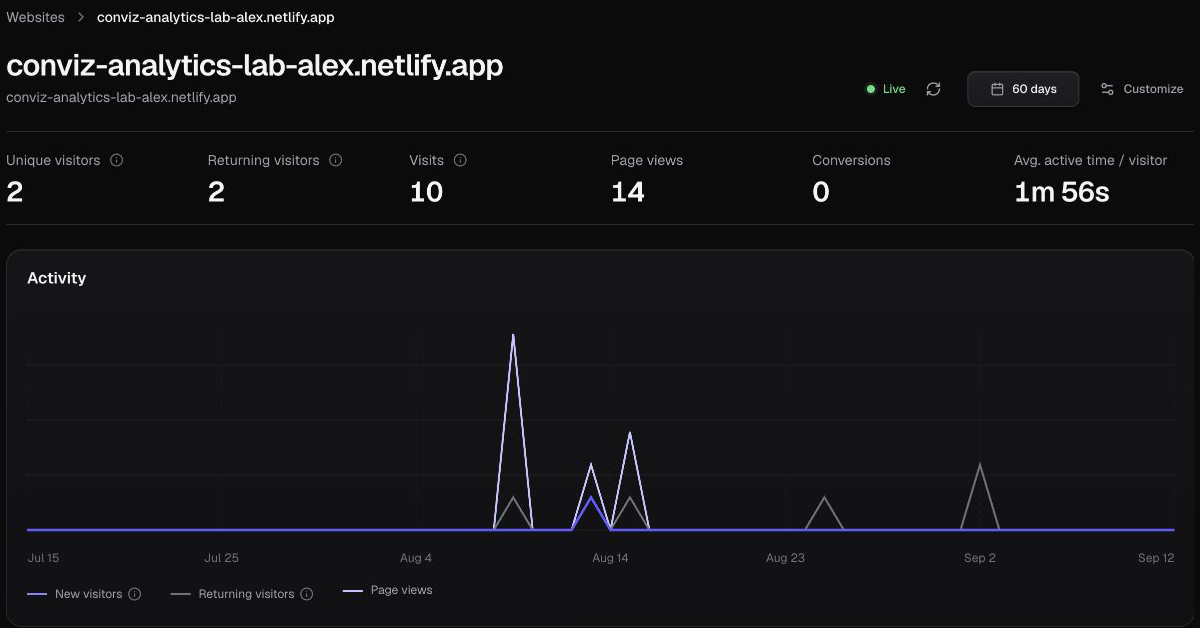 Conviz activity chart showing recorded website visits and page views